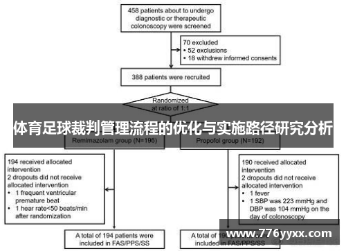 体育足球裁判管理流程的优化与实施路径研究分析