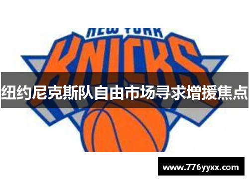 纽约尼克斯队自由市场寻求增援焦点